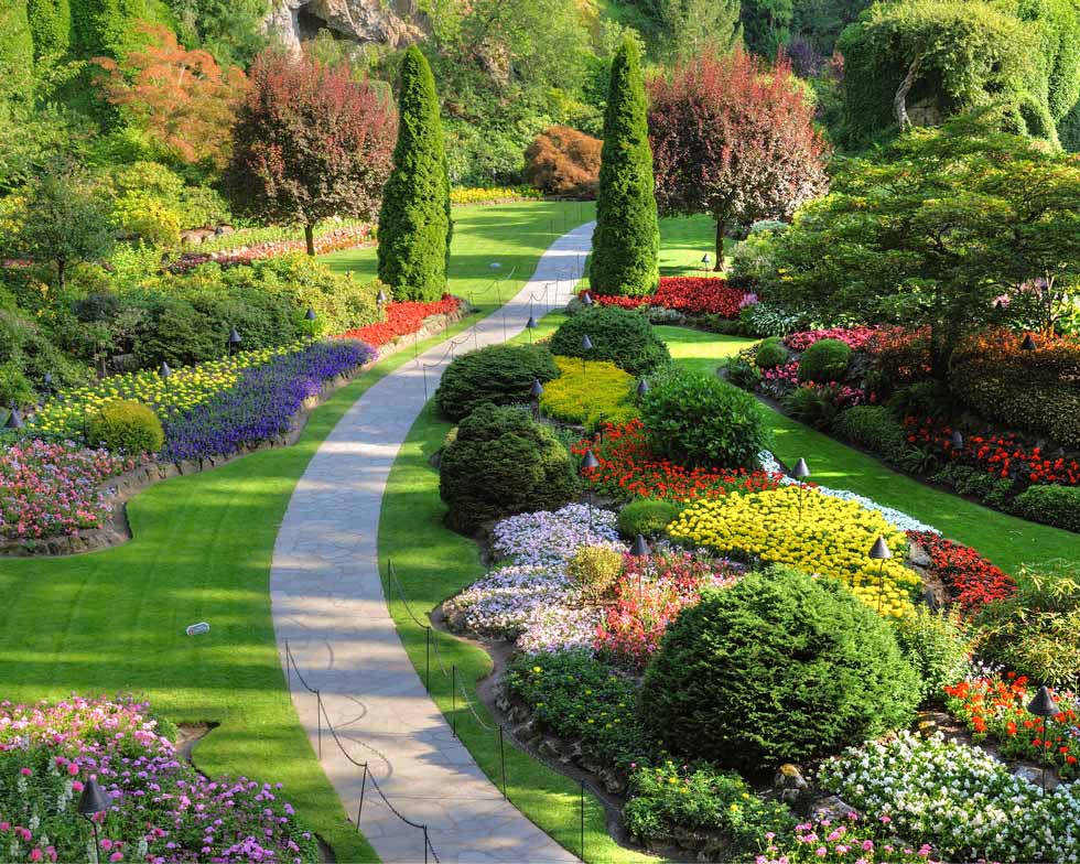 professional landscaping for residential clients | Victor, NY