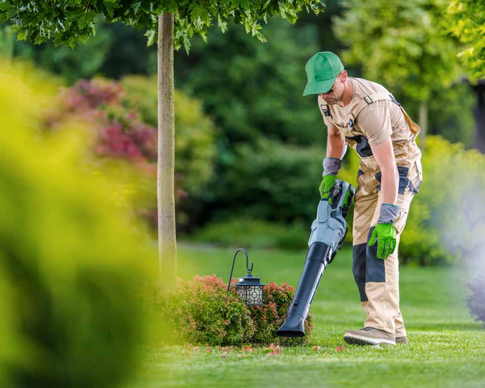 lawn and garden services | Victor, NY